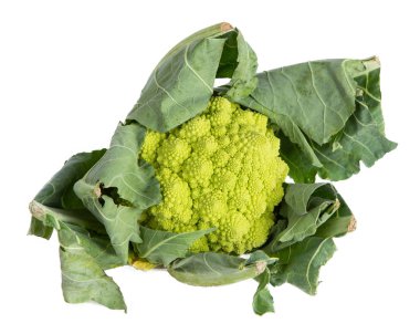 Romanesco lahana yaprakları üzerinde beyaz bir arka plan ile