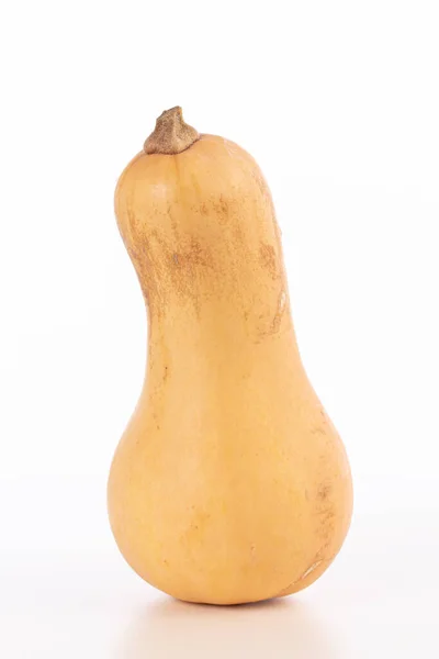 Butternut Squash Klaar Koken Een Witte Achtergrond — Stockfoto