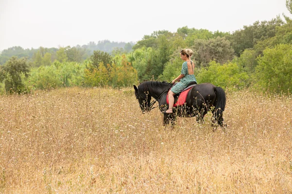 Mulher Vestido Com Cavalo Preto Natureza — Fotografia de Stock