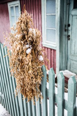 Tahıl kışın kuşlara Chistmas demet.