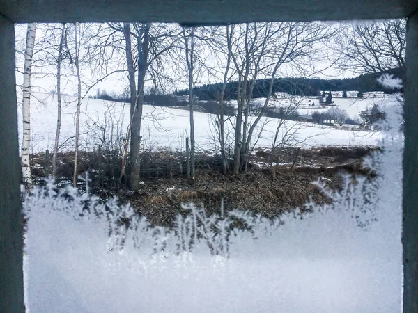 Ett Frostigt Lugn Vinter Landskap Med Snö Och Träd Med Stockbild