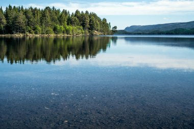 Alt ve yeşil orman dağlarında ufuk - sessiz meditasyon ve doğada eğlence kavramı ile su yüzeyinde yansıyan çakıl taşları ile göl üzerinde kristal berraklığında manzaralı sessiz huzurlu yaz sabah sakin.