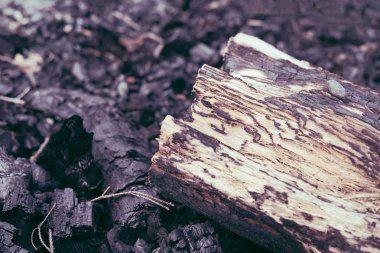 Yanmış kömürdeki odun odunlarının yakın plan detayları doğadaki bir açık hava barbekü kamp ateşinden kopyalandı..