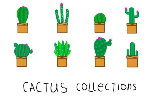 Groene cactus set — Stockvector