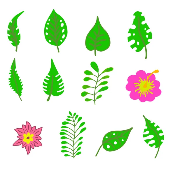 Sammlung tropischer Blätter. — Stockvektor
