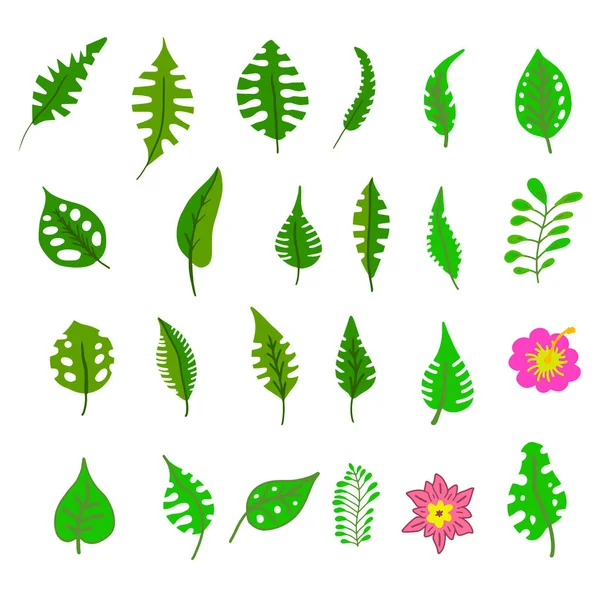 Tropical leaves collection. — Stock Vector