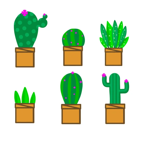 Conjunto de cactus verde — Vector de stock