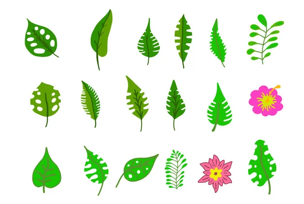 Tropical leaves collection. — Stock Vector