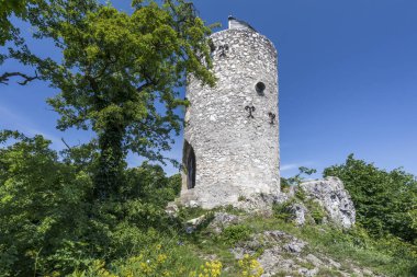 Gumpoldskirchen (Avusturya içinde güzel bir görünüm-out Wilhelmswarte görünümünü)