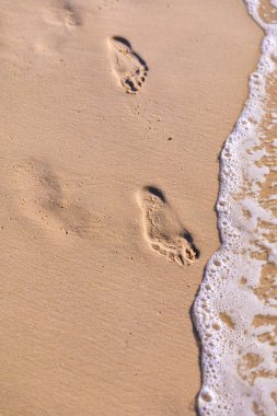 Kumdaki yakınındaki bir yaz seyahat veya tatil kıyı şeridi