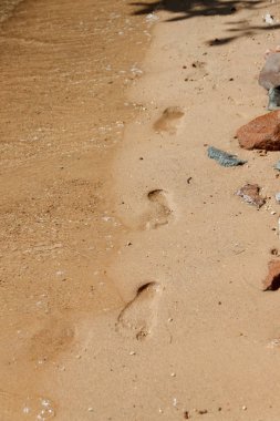 Kumdaki yakınındaki bir yaz seyahat veya tatil kıyı şeridi