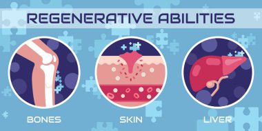Regenerative medicine, vector illustration concept clipart