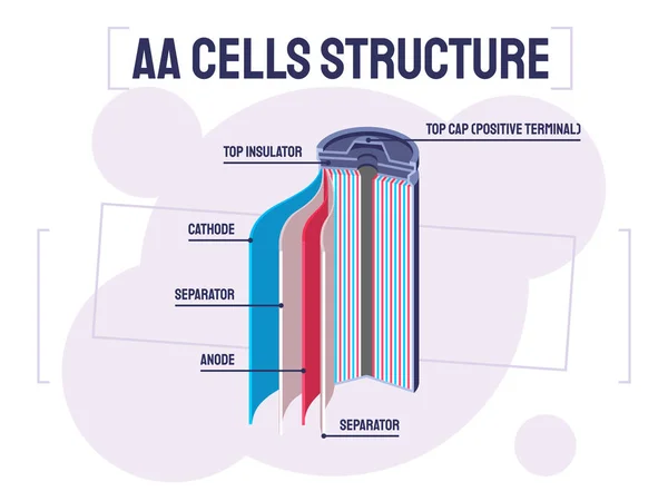 Ilustração mostrando a estrutura das pilhas AA —  Vetores de Stock