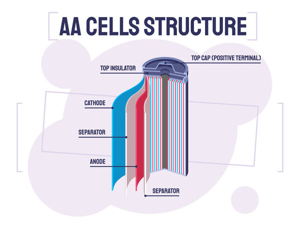 Illustration showing the structure of AA batteries