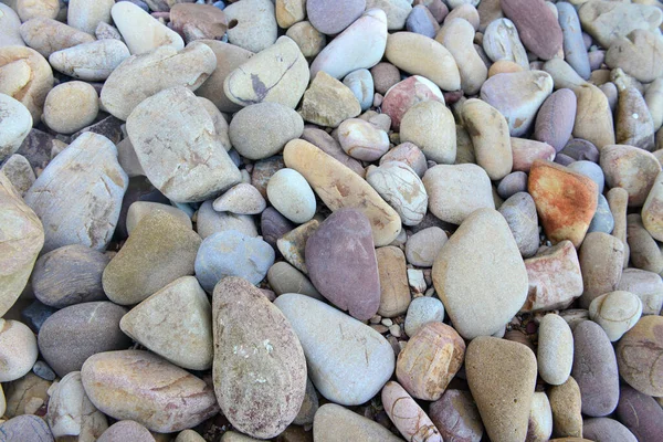 Gros Plan Sur Les Rochers Arrondis Polis Plage Bord Mer — Photo