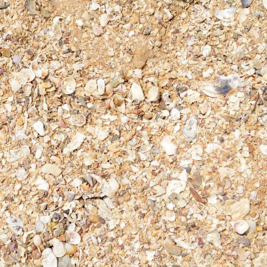Sahilde kırılan küçük mercanlar, kabuklar ve kumlar olan doğal doku.