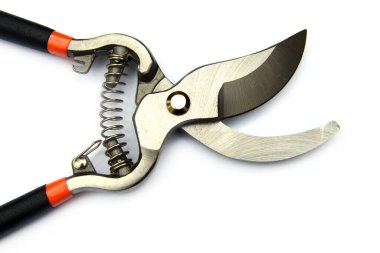 Siyah bahçe kesicileri beyaz bir grupta izole edilmiş.