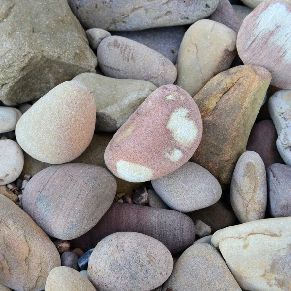 Gros Plan Sur Les Rochers Arrondis Polis Plage Bord Mer — Photo