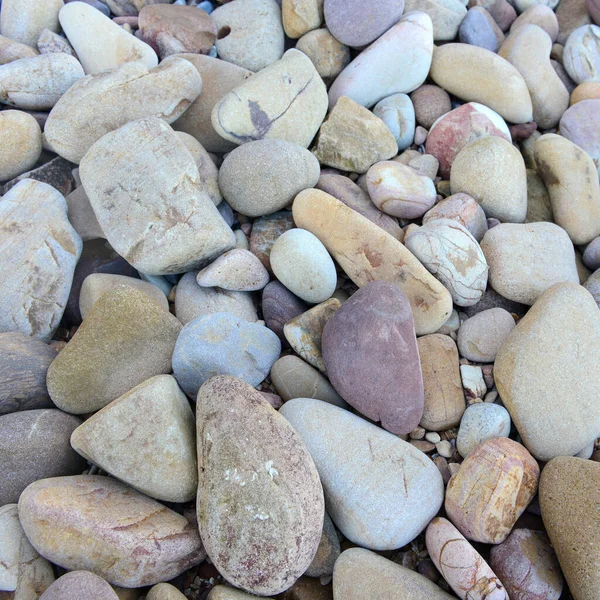 Gros Plan Sur Les Rochers Arrondis Polis Plage Bord Mer — Photo