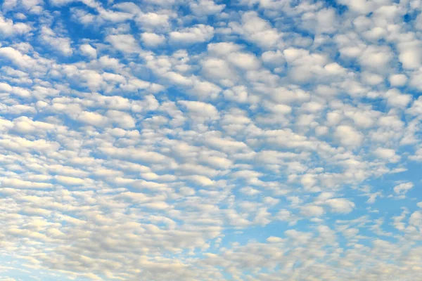 Cielo Azul Las Nubes Blancas Esponjosas — Foto de Stock