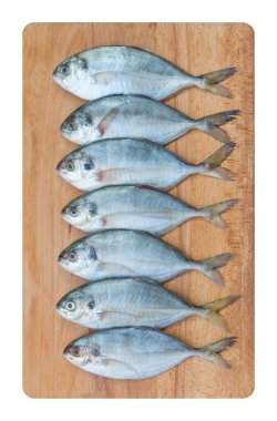 Yellow Tail Scad Balığı, Decapterus Balığı, beyaz sırtüstü bir tahta tabakta