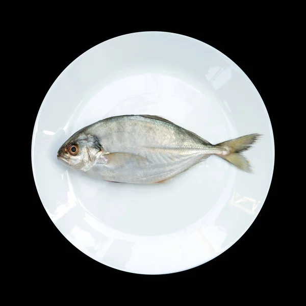 Yellow Tail Scad Fish Decapterus Fish Witte Plaat Geïsoleerd Zwarte — Stockfoto