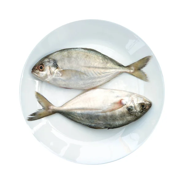 Yellow Tail Scad Fisch Decapterus Fisch Auf Weißem Teller Isoliert — Stockfoto