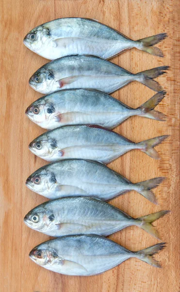 Gelbschwanz Scad Fisch Decapterus Fisch Auf Einer Holzplatte — Stockfoto