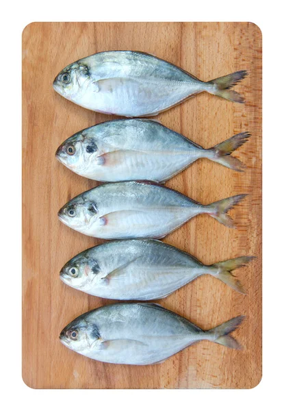 Yellow Tail Scad Fisch Decapterus Fisch Auf Einem Holzteller Auf — Stockfoto