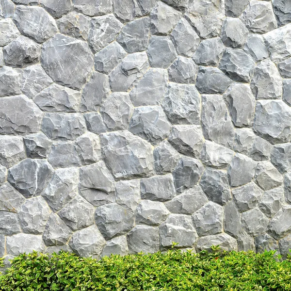 灰色石墙和绿树作为背景 — 图库照片