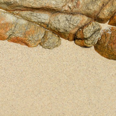 Kum kumsalı güzel desen ve doku sallar. 