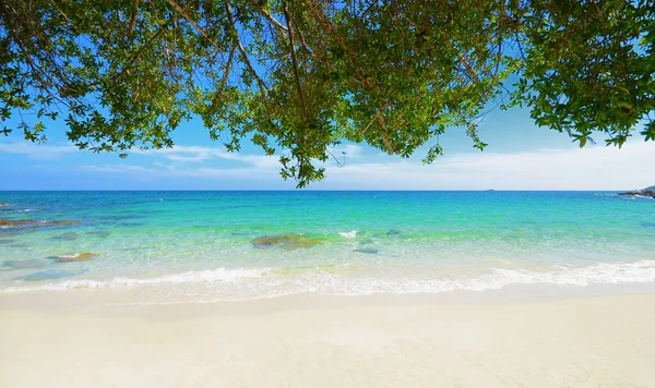 Natura Scena Tropikalna Plaża Morze Koh Samed Wyspa Tajlandia — Zdjęcie stockowe