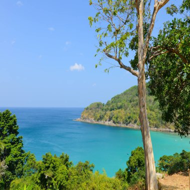 Phuket Adası, Tayland 'da doğa sahnesi tropikal plaj ve mavi gökyüzü