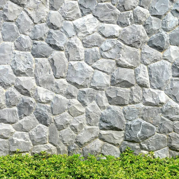 Grå Sten Vägg Och Grönt Träd För Bakgrund — Stockfoto