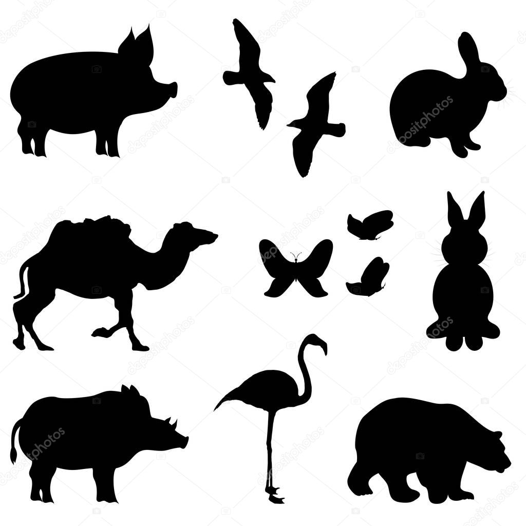 Animal silhouette set. Flamingo, rabbit, polar bear, camel, butterfly, pig, boar, two kinds of flying bird shape on white isolated background. Butterflies from three directions. Bunny from two posture