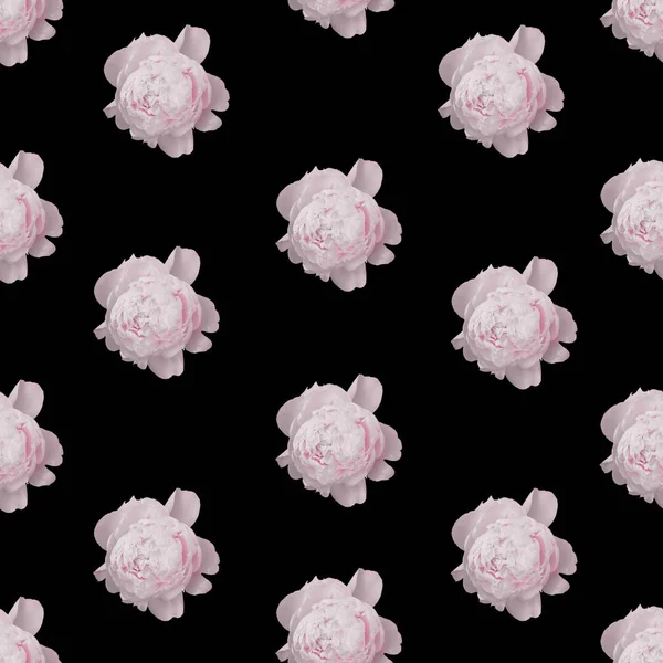 Bloemen naadloos patroon met roze pioenrozen. — Stockfoto