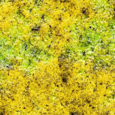 Arka plan doku eski bir boya 