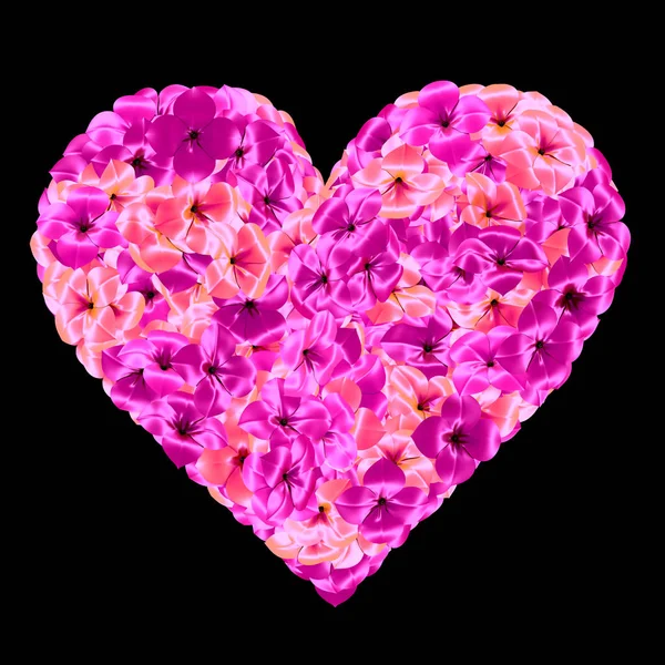 Coração Feito Flores Roxas Rosa Sobre Fundo Preto — Fotografia de Stock