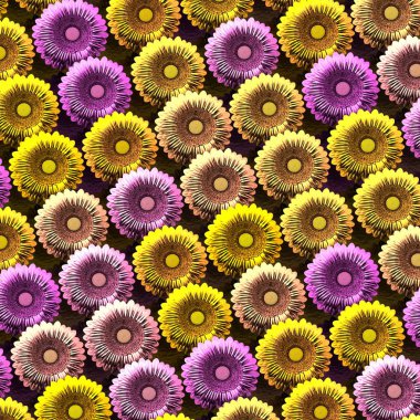 Pembe ve altın ayçiçeği satırları