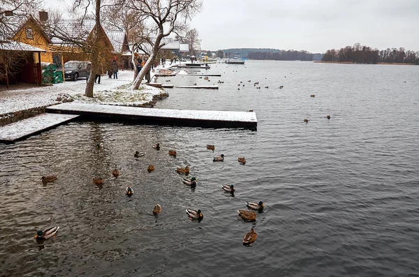 Lituanie Trakai Maisons Trakai Sur Lac Galve Lituanie Décembre 2017 — Photo