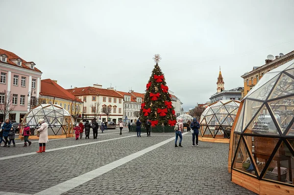 Λιθουανία Βίλνιους Χριστουγεννιάτικο Δέντρο Στο Βίλνιους Ιανουαρίου 2018 — Φωτογραφία Αρχείου