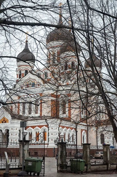 Estónia Tallinn Catedral Alexander Nevsky Cidade Velha Tallinn Janeiro 2018 — Fotografia de Stock