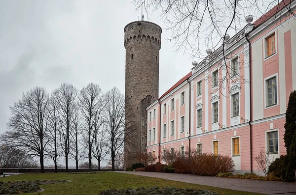 Estland Tallinn Historische Häuser Der Altstadt Von Tallinn Januar 2018 — Stockfoto