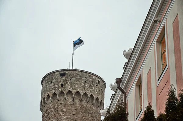 Estonia Tallinn Flag Estonia Tower Old Town January 2018 — Stock Photo, Image