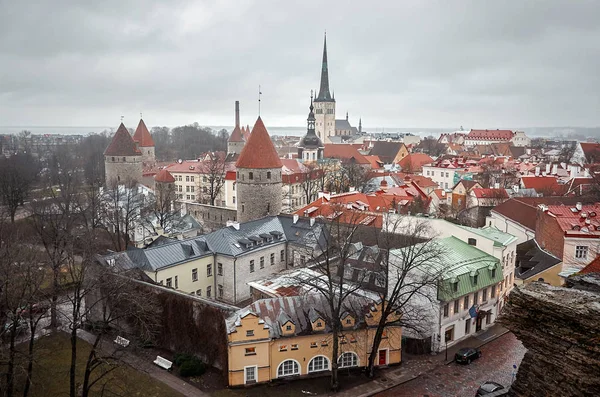 Estonya Tallinn Tallinn Vyshhorod Gözlem Güverteden Kenti Ocak 2018 — Stok fotoğraf