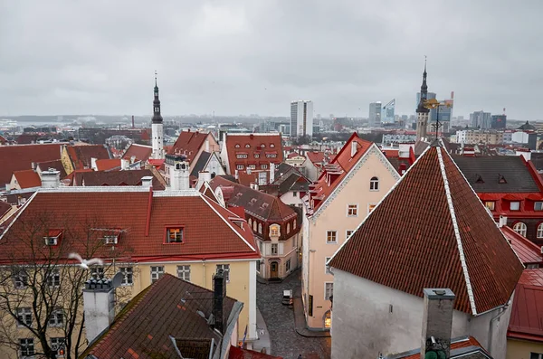 Észtország Tallinn Kilátás Nyílik Városra Megfigyelő Fedélzetre Tallinn Vyshhorod 2018 — Stock Fotó