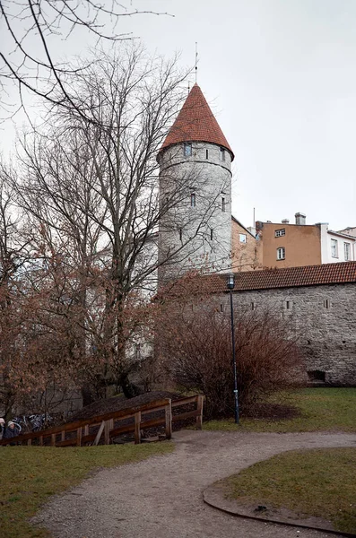 Estonya Tallinn Tallinn Eski Şehir Tarihi Evlerde Ocak 2018 — Stok fotoğraf