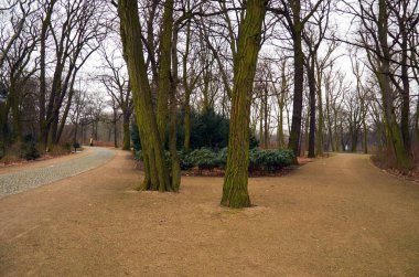 Germany. Berlin. Treptow Park in Berlin. February 17, 2018
