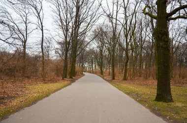 Almanya. Berlin. Tiergarten Berlin merkezi bir parktır. 17 Şubat 2018
