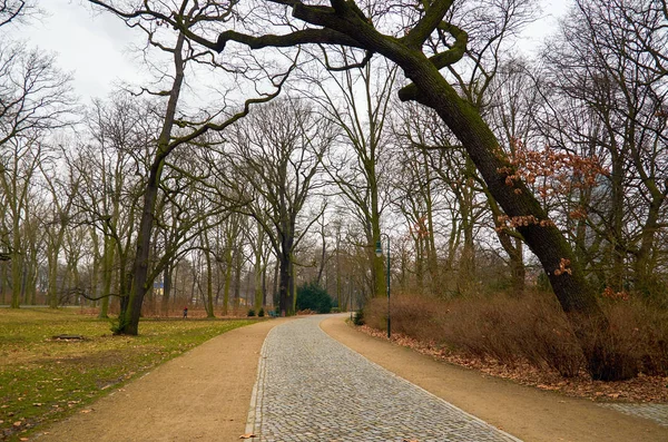 ドイツ ベルリン ベルリンのトレプトー公園 2018 — ストック写真